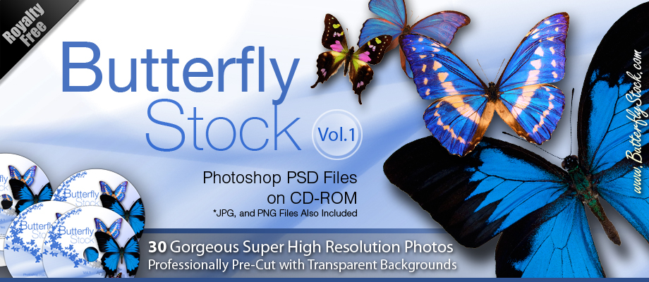 Butterfly Stock Photo's  Photoshop PSD Butterflies