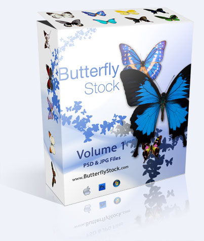 Butterfly Stock Photo